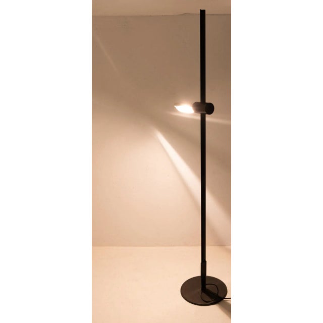 Metal Model Caltha Adjustable Floor Lamp by Gianfranco Frattini for Luci, 1982 For Sale - Image 7 of 15
