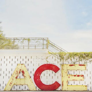 Ace by Irene Suchocki Print, 12" x 12" For Sale