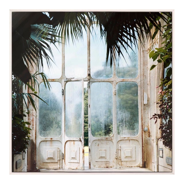 Greenhouse 2 by Annie Spratt, Art Print in Whitewash Frame, Large For Sale