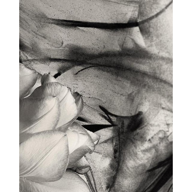 Contemporary Ugne Pouwell, Lily in Charcoal No.3, 2023, Photography For Sale - Image 3 of 4
