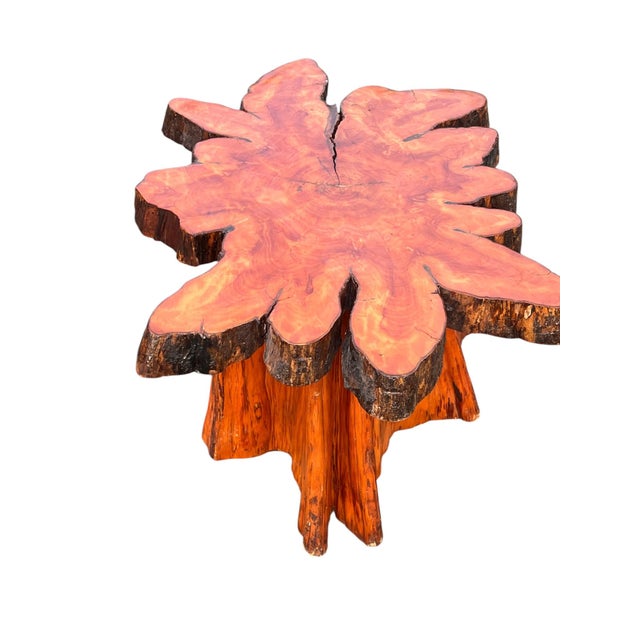 Beautiful Vintage Cypress Live Edge Tree Stump Center Coffee Table For Sale - Image 13 of 15