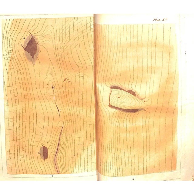 White "The Forest Pruner: Or, Timber Owner's Assistant" 1808 Pontey, William For Sale - Image 8 of 8