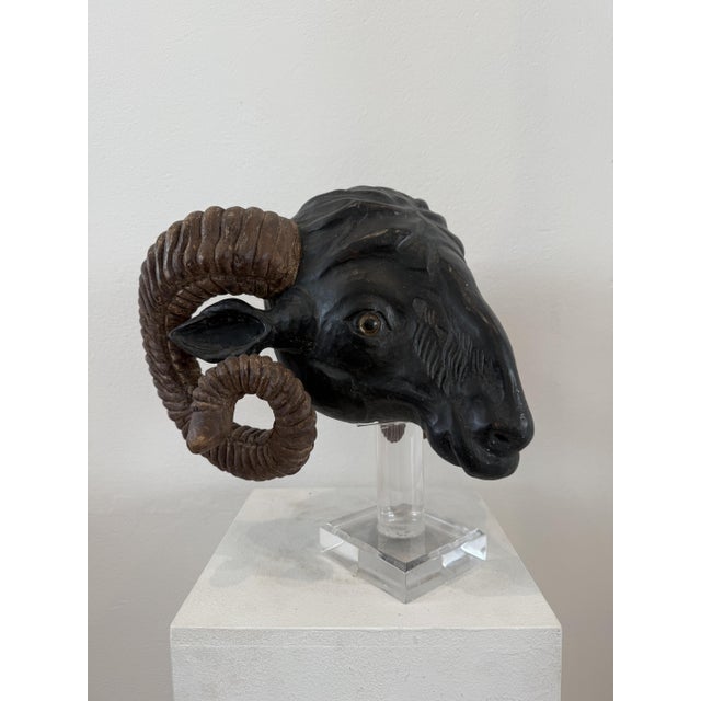 Northern European Artist, Ram's Head, 19th Century, Wood For Sale - Image 10 of 14