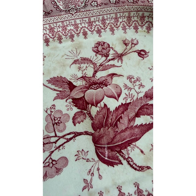 A Very Fine Antique Pink Transferware Decorated Staffordshire Platter "Asiatic Plants" Pattern, Circa 1840's For Sale - Image 9 of 14