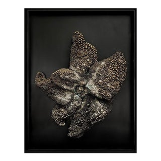 Nebulae Art Sculpture by Blake Weeks For Sale