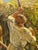 Alexander Alexandrovich Karamzin Framed Oil on Canvas, Mid 20th Century For Sale In San Francisco - Image 6 of 12