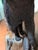 Full Body American Black Bear Taxidermy Mount For Sale In Tampa - Image 6 of 7