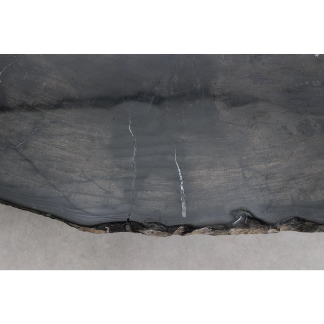 Black Black Petrified Wood Coffee Table by Xyleia Petrified Wood For Sale - Image 8 of 11