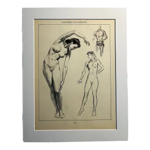 Vintage Nude Drawing Illustration Print