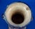 20th Century Ceramic Amphora Vase by Fratelli Kharraz, Tunisia, 1920s For Sale - Image 10 of 18