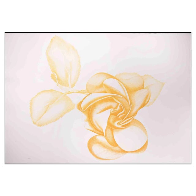 Giacomo Porzano, Yellow Rose, Original Etching, 1972 For Sale