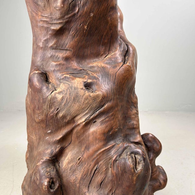 Japanese Decorative Burl Wood Tsuge, 1920s For Sale - Image 12 of 18