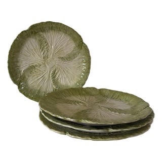 The Mane Lion Handcrafted Italian Radicchio Cabbage Dinner Plates, Light Green – Set of Four For Sale