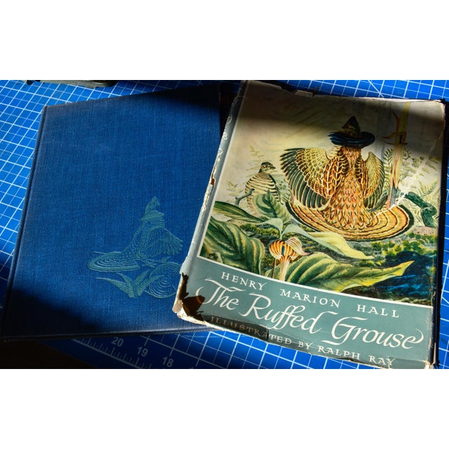 English "The Ruffed Grouse" — Henry Marion Hall — First Edition 1946 — Oxford University Press — Illustrated by Ralph Ray For Sale - Image 3 of 14