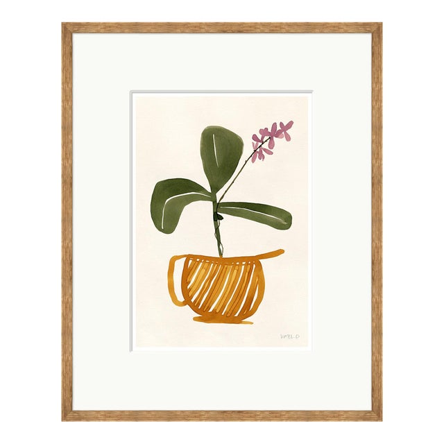 Cattleya by Susan Hable For Sale