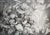 Why This Work Matters Chinese Lantern #2 turns an intimate garden subject into a richly layered world of light, shadow,...