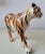 Ceramic Tiger from Montebello, Italy, 1970s For Sale - Image 12 of 16