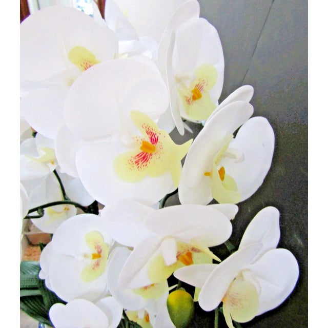 Triple White Phalaenopsis Orchid in Blue White Asian Pot Arrangement For Sale - Image 12 of 12