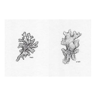 Pair of William Glen Davis Drawings For Sale