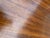 Antique 54" Round Mahogany Pedestal Base Dining Table With 4 Leaves For Sale - Image 15 of 16