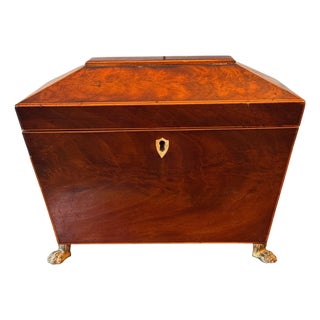 19th Century Sarcophagus Form Tea Caddy With Brass Paw Feet For Sale
