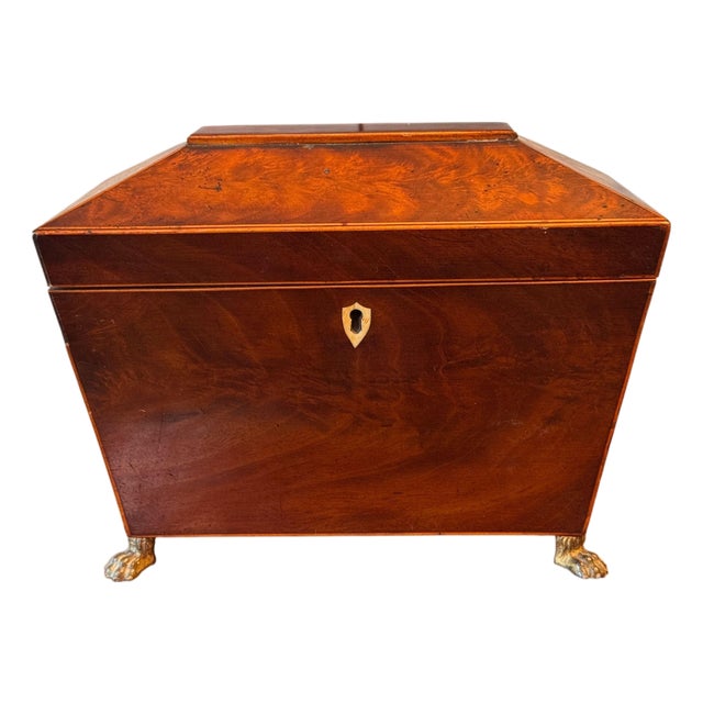 19th Century Sarcophagus Form Tea Caddy With Brass Paw Feet For Sale