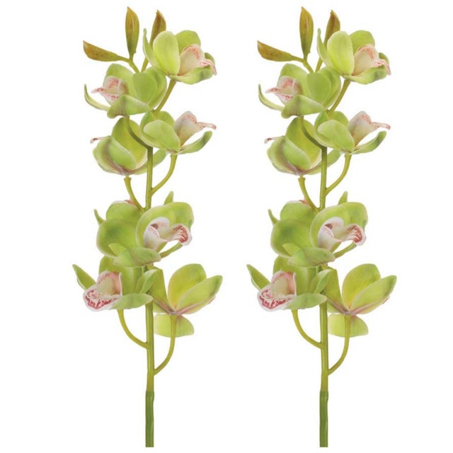 Modern Cymbidium Orchid Flower Stem (Set of 2) For Sale - Image 3 of 3