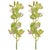 Modern Cymbidium Orchid Flower Stem (Set of 2) For Sale - Image 3 of 3