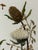 Ivory Mary Jo Morris Botanical Embroidery Textile Art, Vintage For Sale - Image 8 of 12