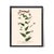 Paper Antique Botanical Set in Oxblood - Set of 8 16" X 20" For Sale - Image 7 of 11