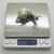 Vintage Italian Genuine Silver 800 Life-Size Snail Figurine by Arezzo Silversmith Ar 100, 1970s For Sale - Image 11 of 13