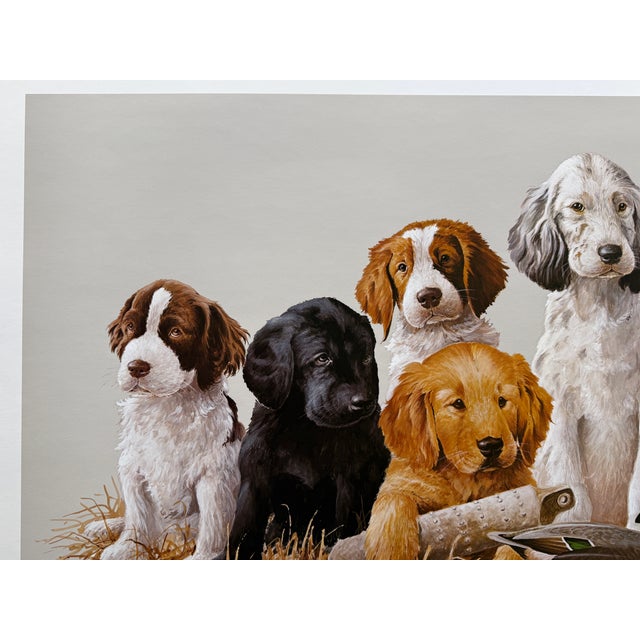1980s Jim Killen Sporting Dog Art Great Retrievers Labs (29.5"x20") "School Daze" Open Edition For Sale - Image 6 of 7