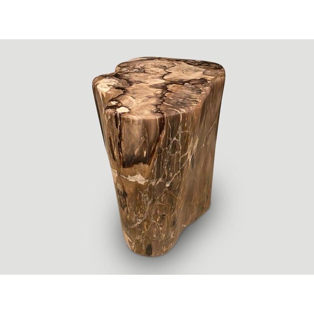Andrianna Shamaris High Quality Petrified Wood Side Table For Sale - Image 4 of 5
