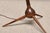 Brown Bridge Floor Lamp by Severin Hansen for Haslev Møbelsnedkeri, Denmark, 1950s For Sale - Image 8 of 13