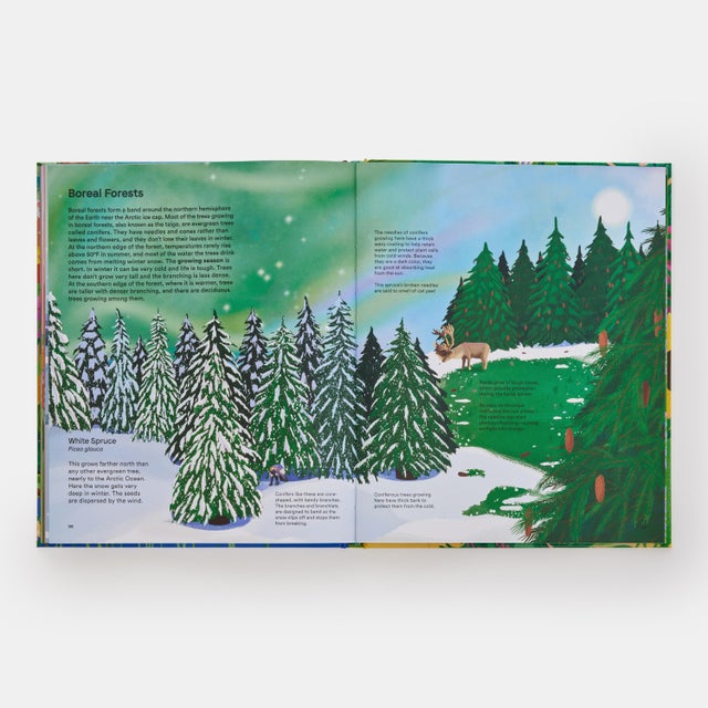 A Home for Every Plant: Wonders of the Botanical World For Sale - Image 10 of 10