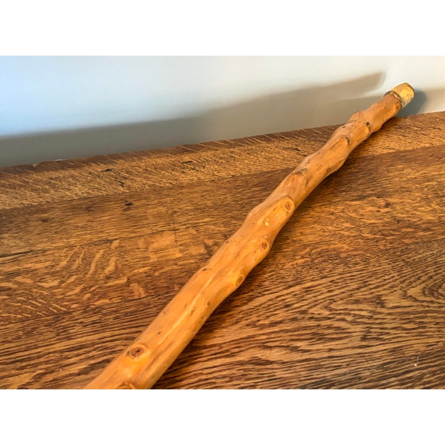 Knobby Cane Walking Stick With Brass Ball Topper For Sale - Image 6 of 7
