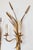 Mid 20th Century Pair of 20th Century French Sconces - Inspired By Coco Chanel For Sale - Image 5 of 6