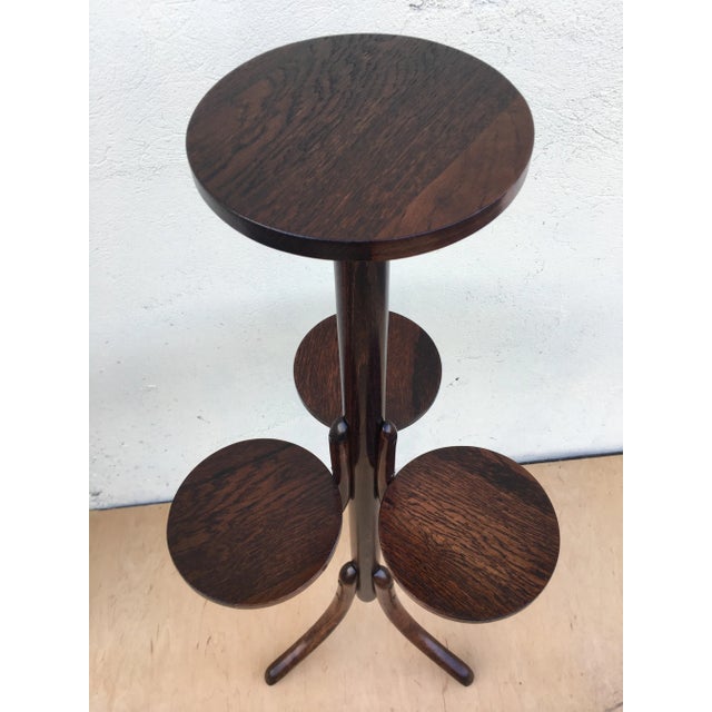 Thonet Bentwood Flower Bed from Thonet, 1940s For Sale - Image 4 of 18