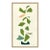 Vine by Susan Hable For Sale