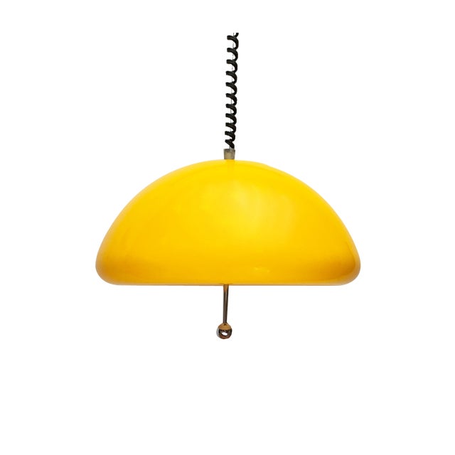 Mid-Century Space Age Cabras Pendant Lamp by Luigi Massoni for Guzzini, 1960s For Sale