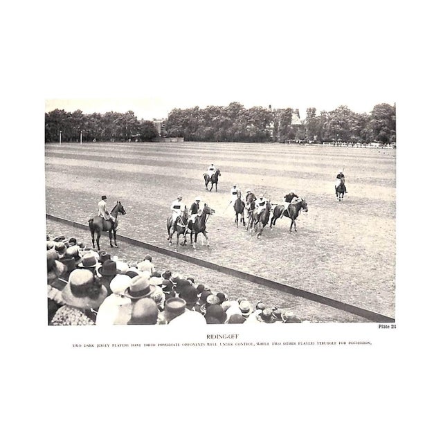 "Polo" 1936 the Earl of Kimberley For Sale - Image 10 of 12