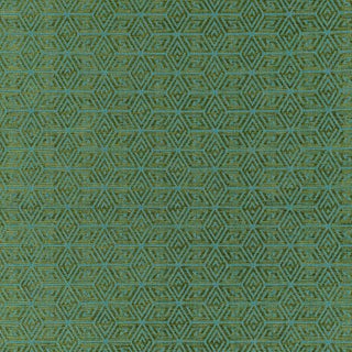 Schumacher Cosmati Chenille Fabric in Boxwood For Sale