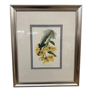 Louis Van Houtte's Orchid Botanical Print, Framed For Sale