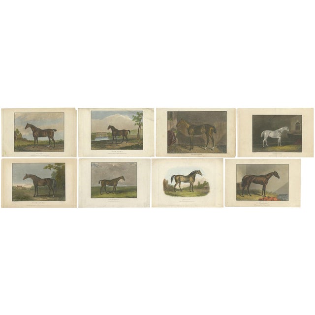Famous Racehorses, 1830, Paper, Set of 8 For Sale