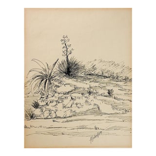 Vintage Desert Landscape Pen & Ink Drawing For Sale
