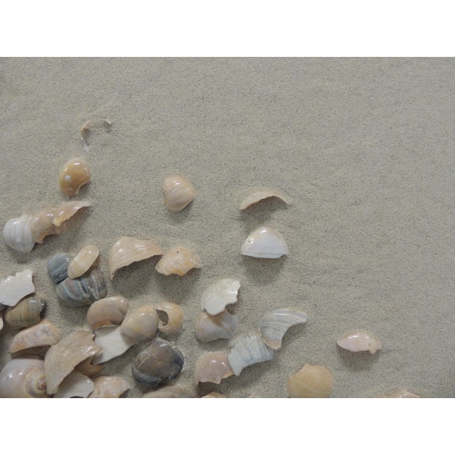 Artist David Langdon (XX) Tittle: "Ocean Bouquet" Signed 3D sand and shell, collage mixed media on board with wood frame....