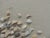 Artist David Langdon (XX) Tittle: "Ocean Bouquet" Signed 3D sand and shell, collage mixed media on board with wood frame....