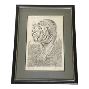 Bengal Tiger Etching Print Signed Warren Davis