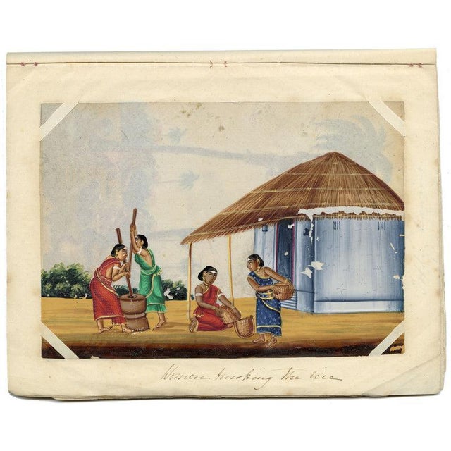 Gold Indian Company School Women Husking the Rice, 1800s, Gouache on Paper For Sale - Image 8 of 9
