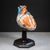 Late 20th Century Vintage Professional Anatomical Human Heart Model c.1976– Medical Teaching Aid For Sale - Image 5 of 10